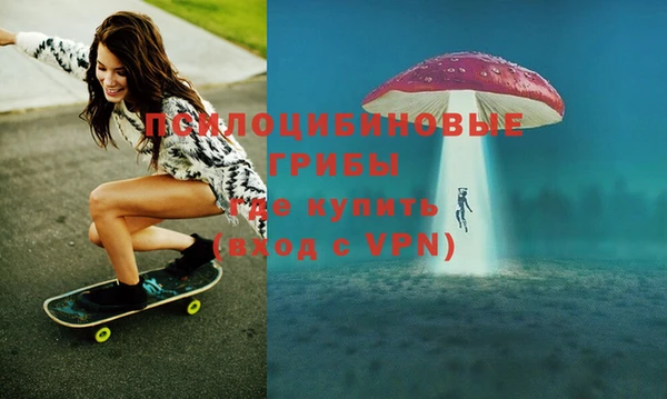 MDMA Грязовец